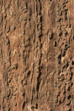 Sandstone background Foto stock