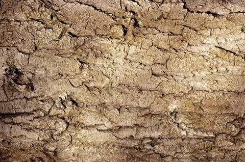 Sandstone background texture Stock Photos