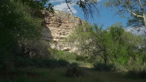 A sandstone cliff framed by lush flora Vidéo 276239406