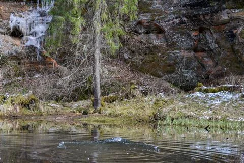 Sandstone cliff pattern with green grass and a floating mallard Stock Photos