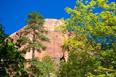 Sandstone cliffs above the Emerald Pools Trail in Zion National Park, Utah Stock Photos