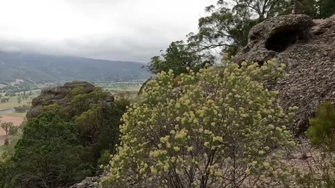 Sandstone Cliffs and Rock Formations at Paradise Park, Murrurundi - Eye of .. Stock-Footage 312066039