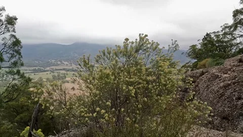 Sandstone Cliffs and Rock Formations at Paradise Park, Murrurundi - Eye of .. Stock-Footage 312066062