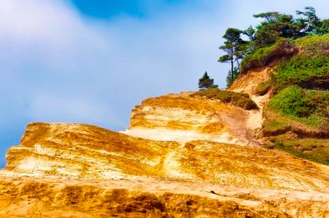 Sandstone cliffs and trees at Cape Kiwanda Stock Photos