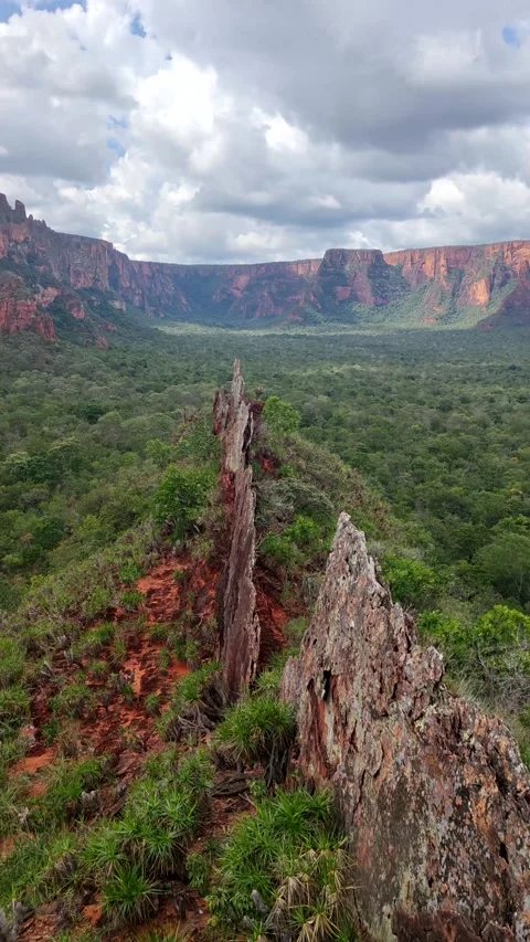 Sandstone cliffs in Crista de Galo (Rooster's crest) at Chapada dos Guimãraes Видео 309561352