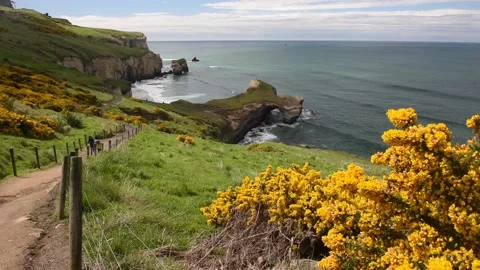 The sandstone cliffs, headlands and arch at Tunnel Beach, Otago, New Zealand. Stock Footage 133747157