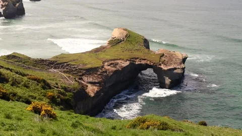 The sandstone cliffs, headlands and arch at Tunnel Beach, Otago, New Zealand. Video stock 134739140
