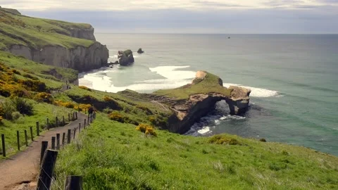 Sandstone cliffs, headlands and arch at Tunnel Beach, Otago, New Zealand. Stock Footage 135700041