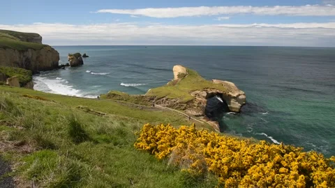 Sandstone cliffs, headlands and arch at Tunnel Beach, New Zealand. Stock Footage 136064775