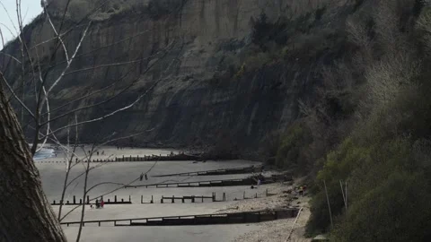 Sandstone cliffs at Luccombe, Isle of Wight, UK , evening light Stock Footage 238723370