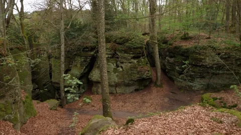 Sandstone Gorge and Forest Path on the Berdorf Trail in Luxembourg Vidéo 347757204