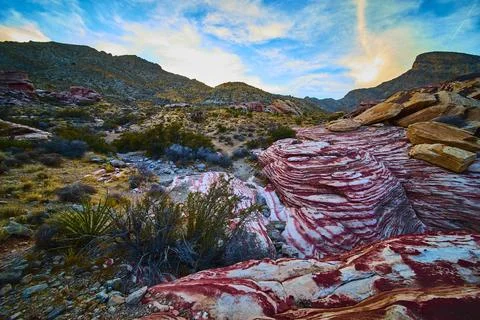 Sandstone Patterns and Sparse Vegetation at Golden Hour Eye Level Stock-Fotos