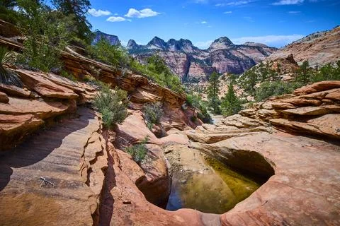 Sandstone Pools and Cliffs with Desert Vegetation Eye Level View Stock Photos