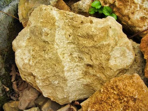 Sandstone Rock Stock Photos