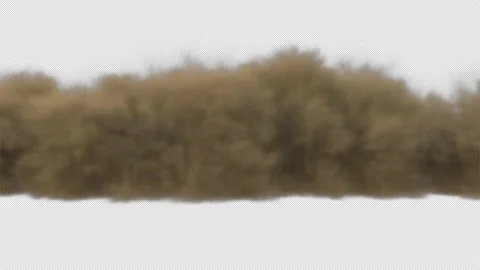 Sandstorm Coming Stock Footage 204597067