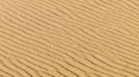 Sandstorm in desert, close up Видео 45325525