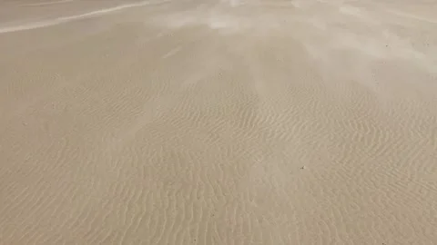 Sandstorm Loop Stock Footage 142784542