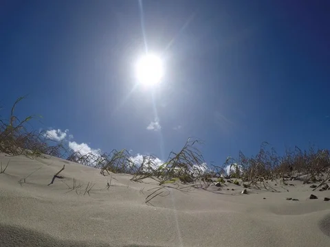 Sand&amp;Sun Stock Footage 89719536