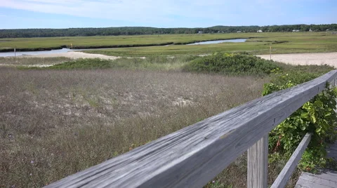 Sandwich Boardwalk Cape Cod Stock Footage 41659458