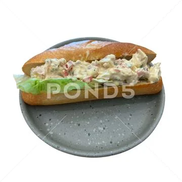 Sandwich chicken-2 PSD Template