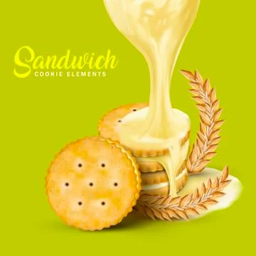 Sandwich cookies elements 스톡 일러스트