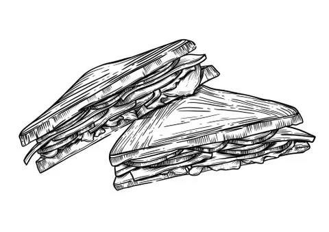 The sandwich is drawn in vector Stock Illustration