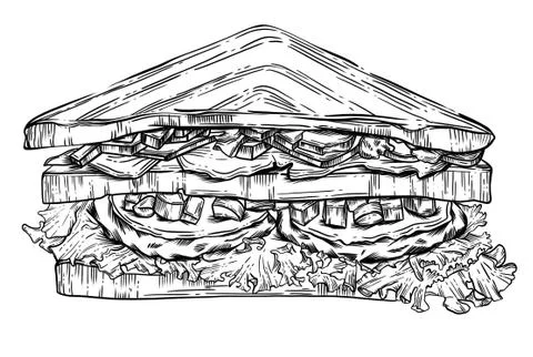 The sandwich is drawn in vector Stock Illustration