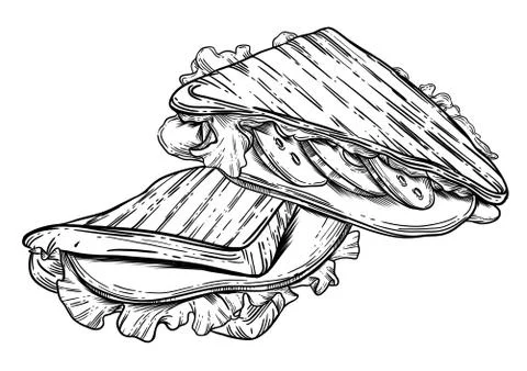 The sandwich is drawn in vector Stock Illustration