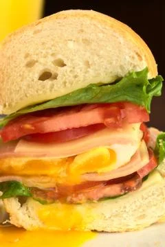 Sandwich with fried egg Stock Photos