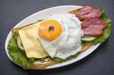 Sandwich with fried egg Stock Photos