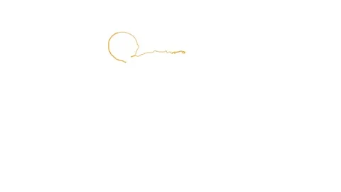 Sandwich. Pattern Stock Footage 81537171