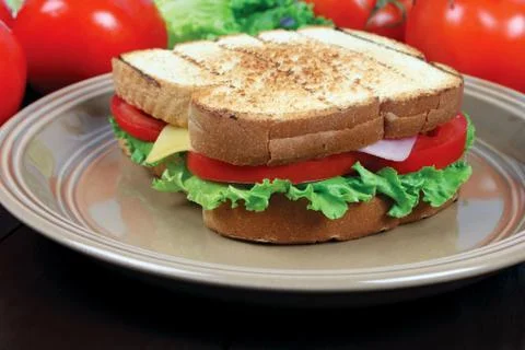 Sandwich Stock Photos