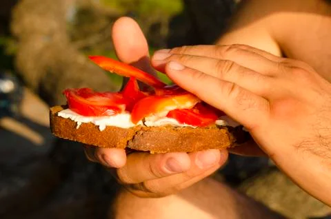 Sandwich Stock Photos