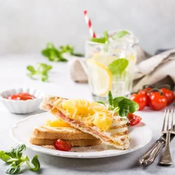 Sandwich with pineapple, 스톡 사진