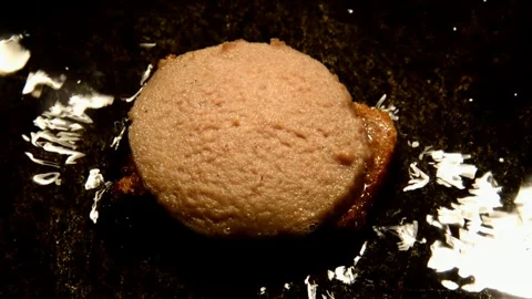 Sandwich with rye bread Видео 302102369