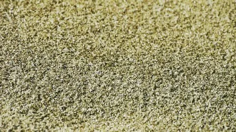 Sand,wind blow sand particles on beach. Stock Footage