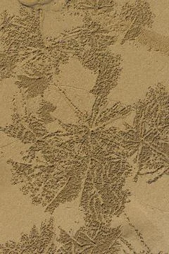 Sandworms form patterns on the beach of Khao Lak, beach, pattern, texture, art Foto stock