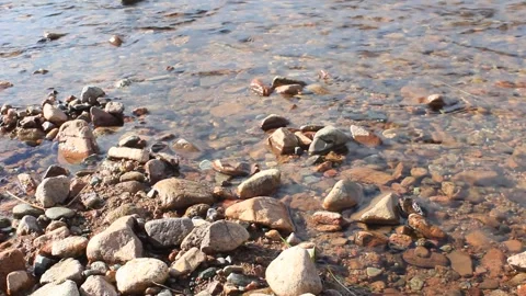 Sandy and pebbles bottom of a freshwater river Stock Footage 292730004