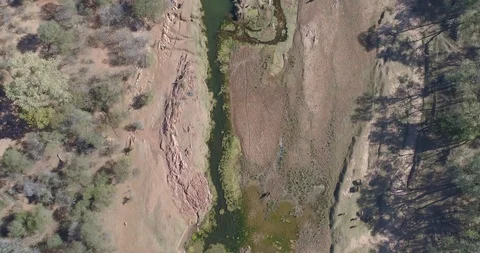 Sandy and rocky river bed in the dry season of rural Africa with cows Stock Footage 95915089