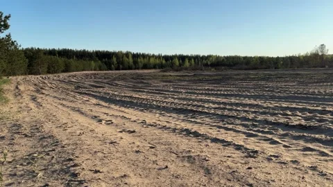 A sandy area with ruts near a pine forest, a training ground for military  Stock Footage 334069038