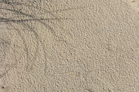 Sandy background with shadows from tall grass. Stock Photos
