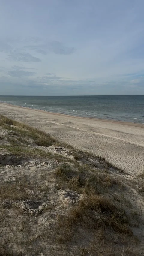 Sandy Baltic Sea Dunes and Quiet Shoreline Stock Footage 336560055