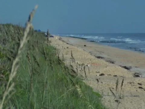 Sandy Beach 1 Stock Footage 8694182