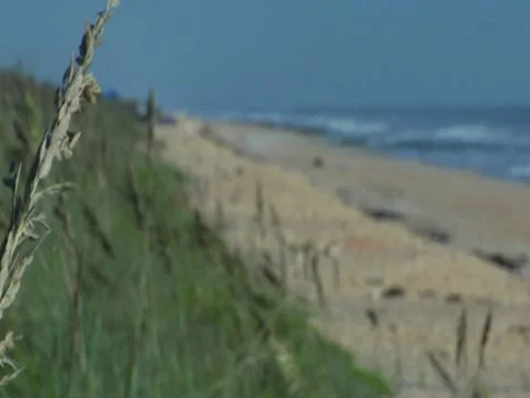 Sandy Beach 3 Stock Footage 8697892