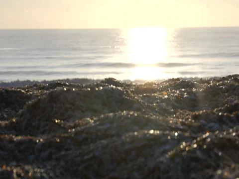 Sandy Beach 4 Stock Footage 8692414