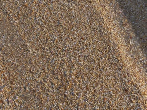 Sandy Beach 6 Stock Footage 8692429