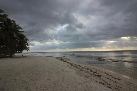 Sandy beach along the coast Stock Photos