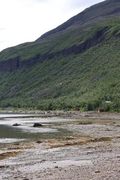 Sandy beach along a dramatic Scandinavian fjord, framed by steep, green mount Stock Photos