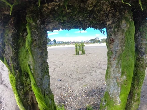 Sandy beach and archs with green moss on the daytime. Stock Footage 158572849