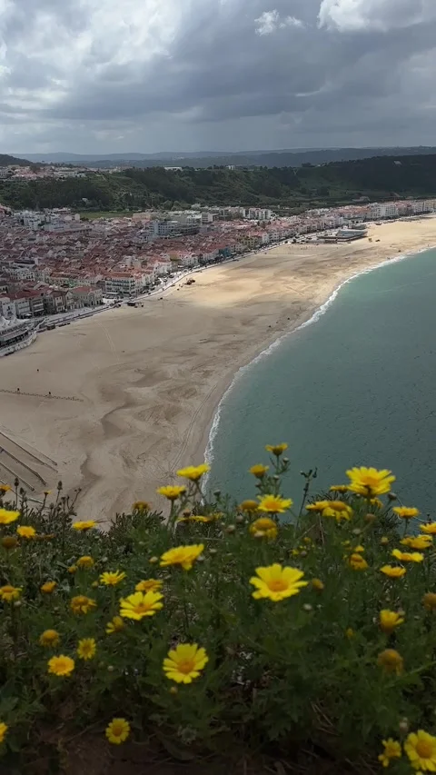 Sandy beach and Atlantic Ocean from clifftop with yellow flowers, Portugal Stock Footage 346582036